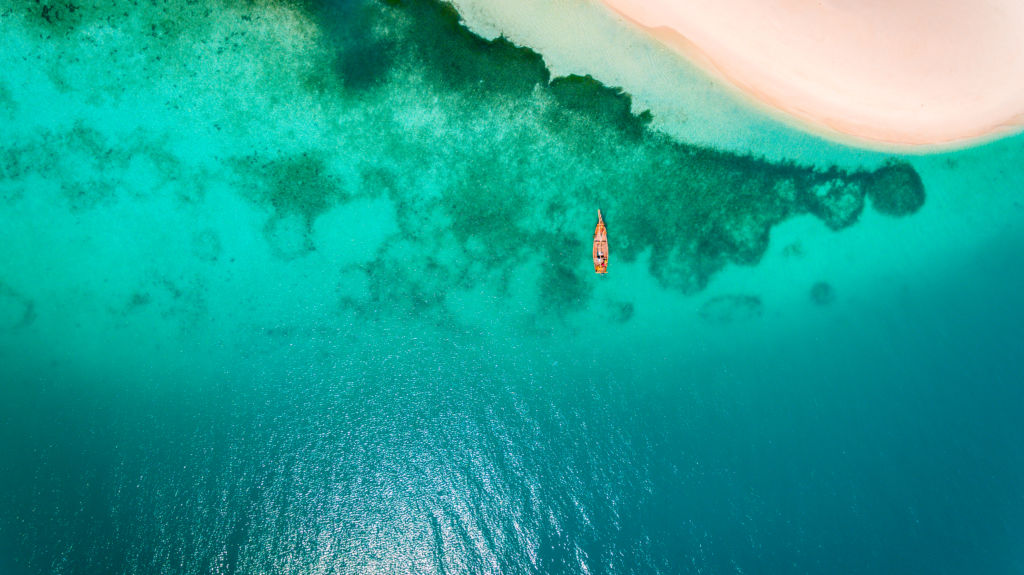 aerial view of the niamembe island, Zanzibar